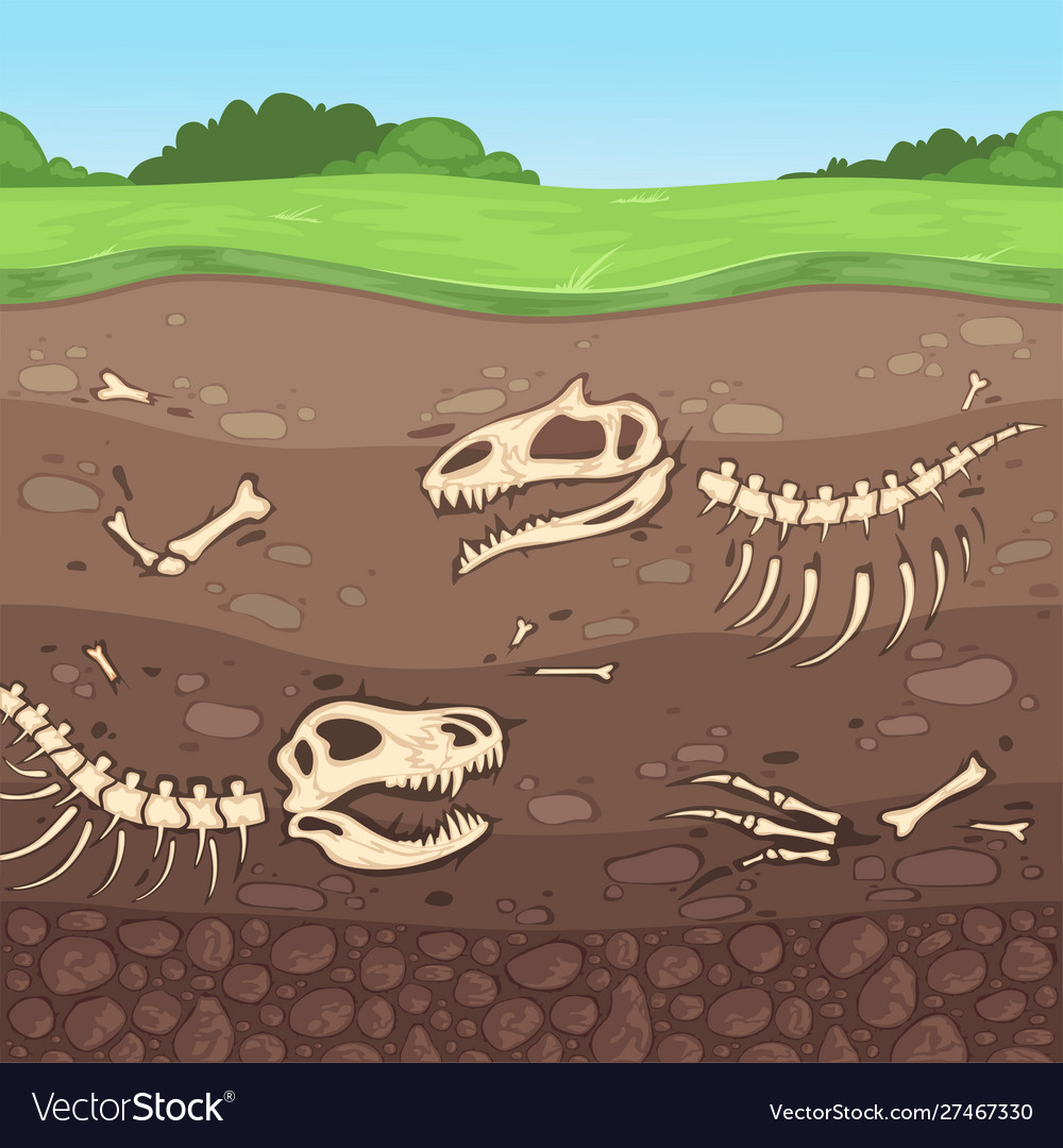 fosil dinosaurus